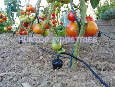 Drip Feed Watering System